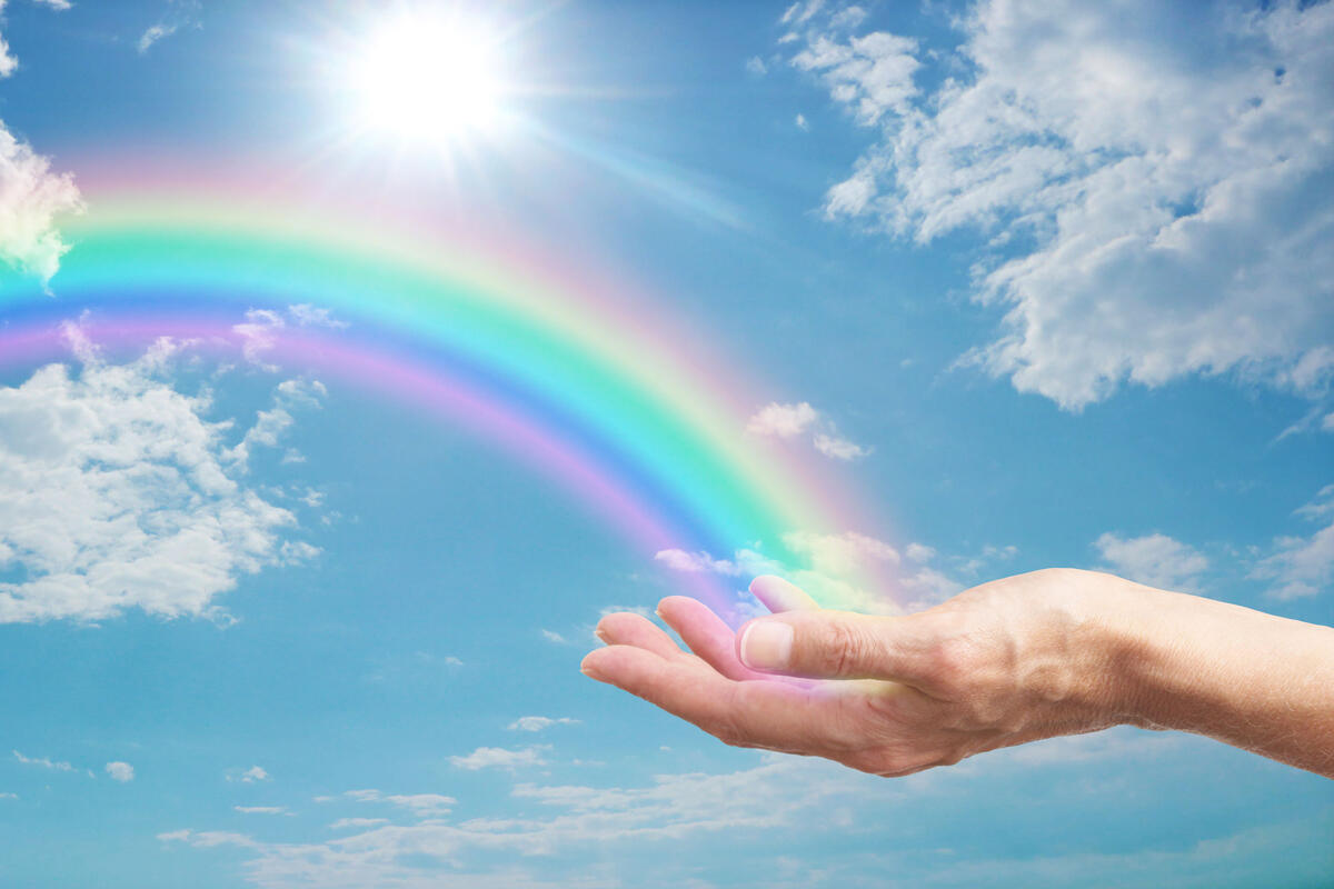 сонник радуга