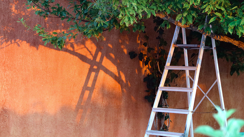 к чему снится лестница