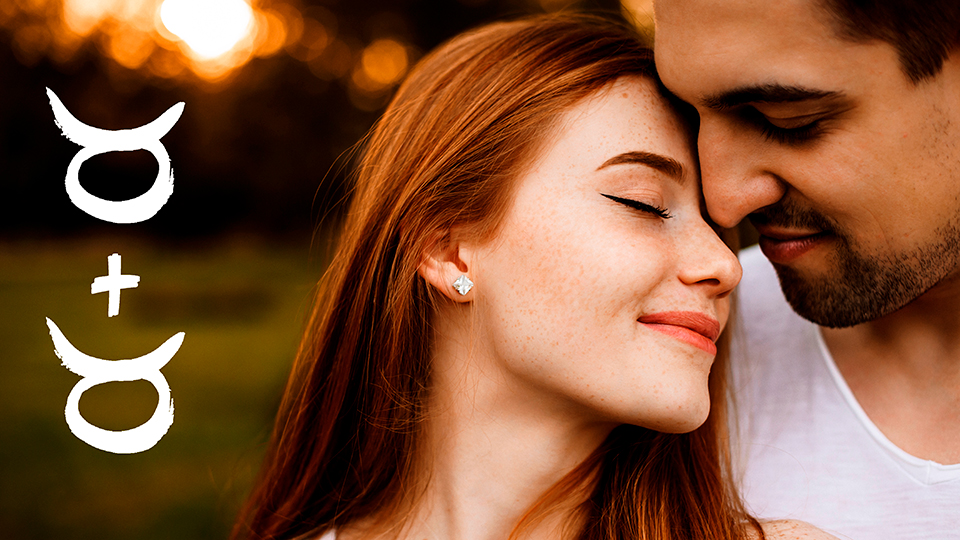 телець і телець сумісність