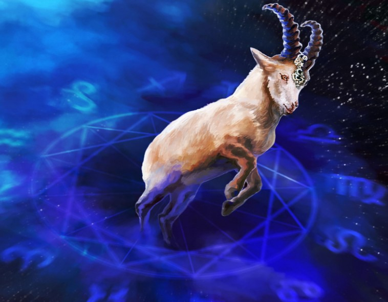 2003 год кого по восточному календарю