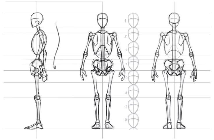 як намалювати тіло для ескізу