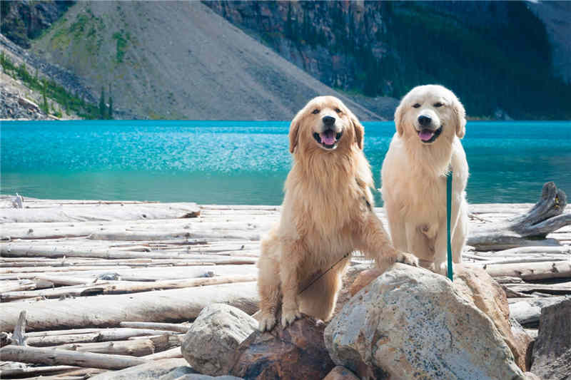 1970 год кого