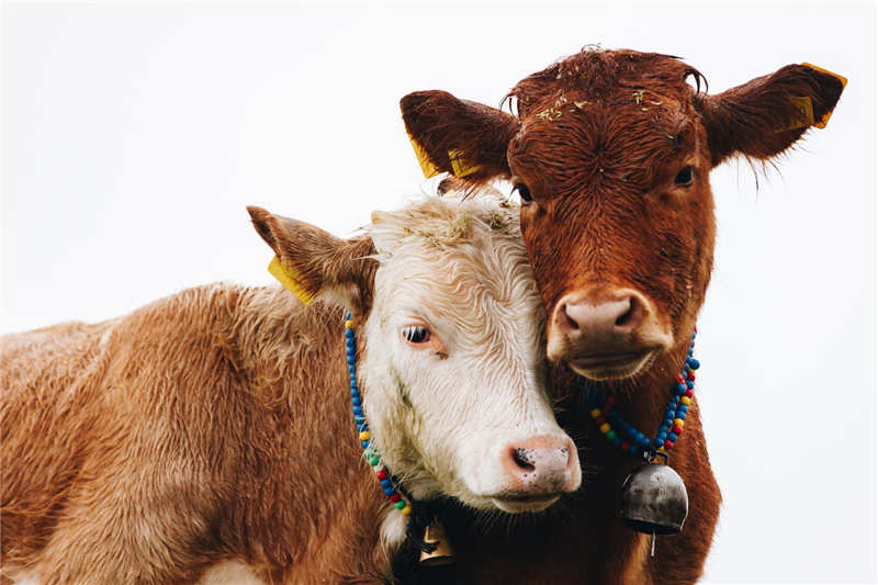 1973 рік для кого вдалий