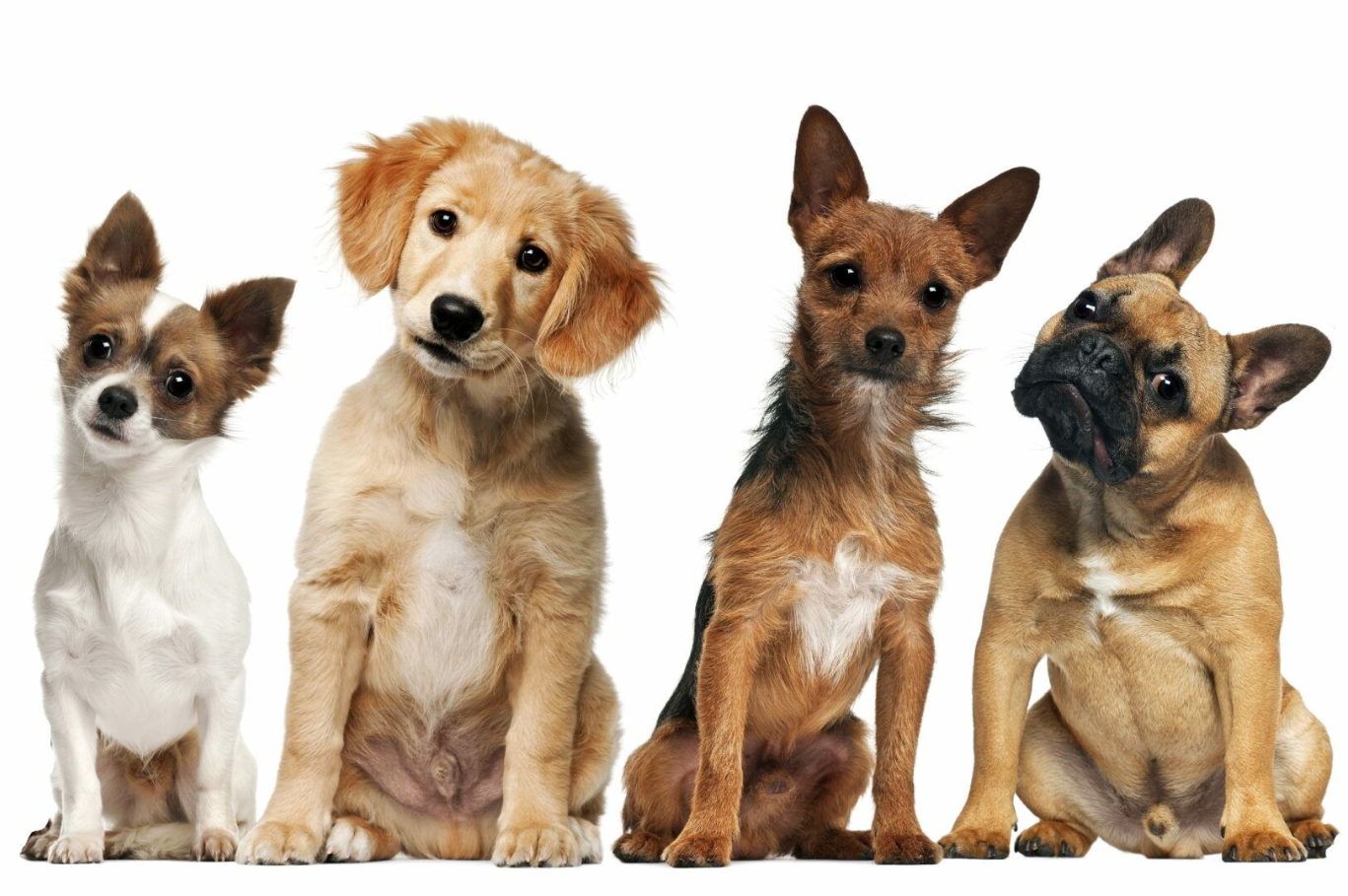 1970 у східному календарі